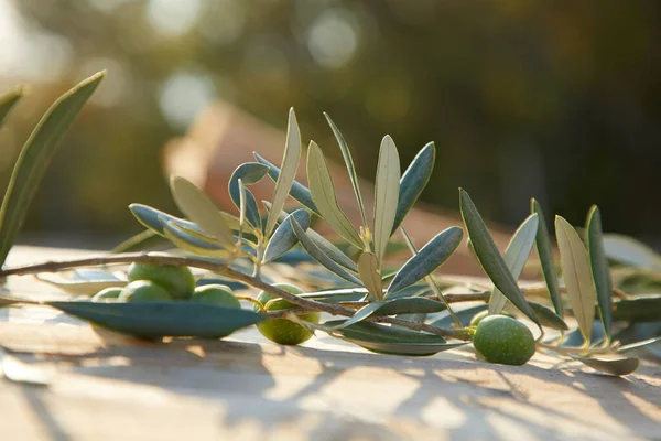 green olives with leaves on wooden background