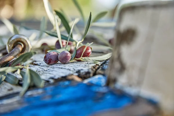 Rijpe Violette Olijven Met Bladeren Houten Ondergrond — Stockfoto