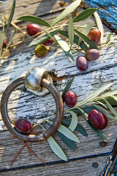 Olives Violettes Mûres Avec Des Feuilles Sur Fond Bois — Photo