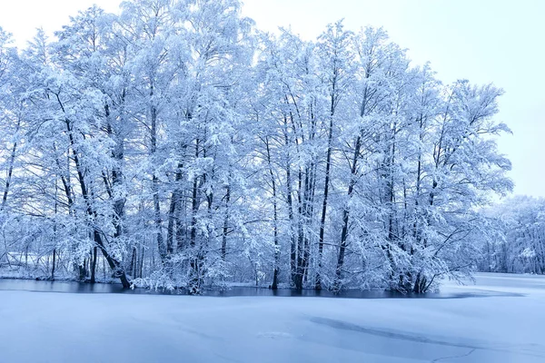 Krásný Zimní Park Břehu Řeky — Stock fotografie