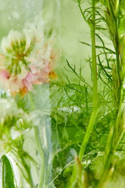 Buzda çiçekler ve yapraklar, yakın görüş 
