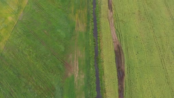 vue aérienne du champ agricole à la journée ensoleillée d'été