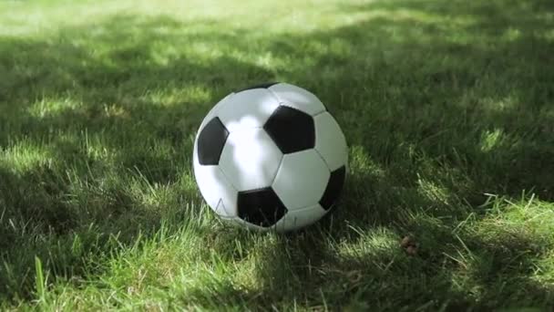 Calcio di calcio — Video Stock