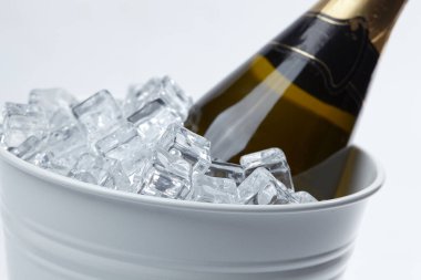 Kovadaki şampanya şişesi beyaz arka planda izole edilmiş, yakın görüş. 