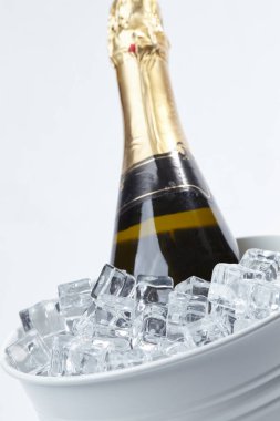 Kovadaki şampanya şişesi beyaz arka planda izole edilmiş, yakın görüş. 