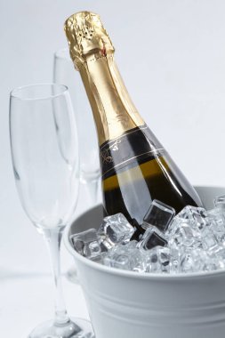 Kovadaki şampanya şişesi beyaz arka planda izole edilmiş, yakın görüş. 
