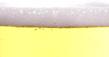 Beyaz arka planda köpüklü bir bardak bira.