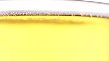 Beyaz arka planda köpüklü bir bardak bira.