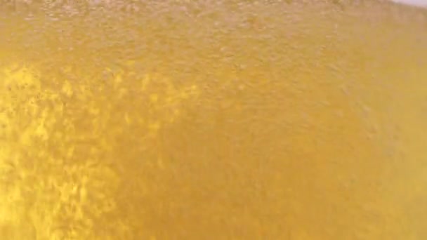 Szklanka piwa zbliżenie z pianą na białym tle — Wideo stockowe