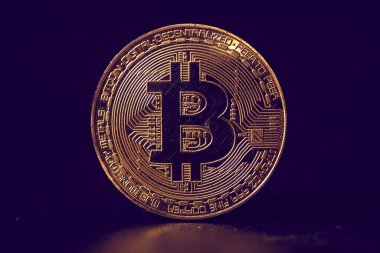 Avrupa sikkeleri ile altın bitcoin, kripto para birimi için kavramsal görüntü
