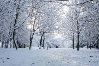 Güzel karla kaplı kış parkı sabahın erken saatlerinde  