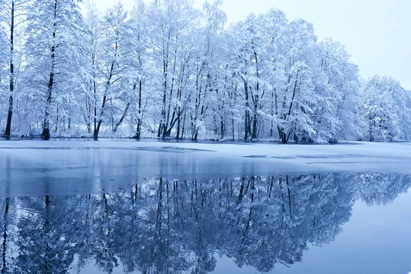 美しい冬の公園の絵のような景色 — ストック写真