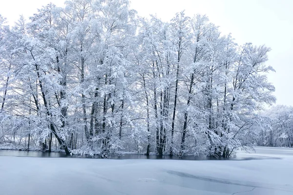 美丽的冬季公园风景如画 — 图库照片