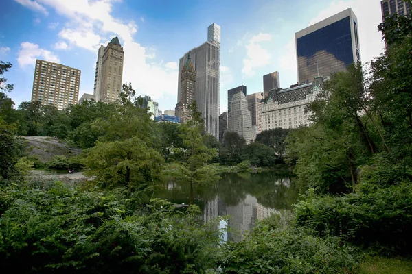 Zobrazit Mrakodrapy Gapstow Mostu Central Parku New Yorku Usa — Stock fotografie