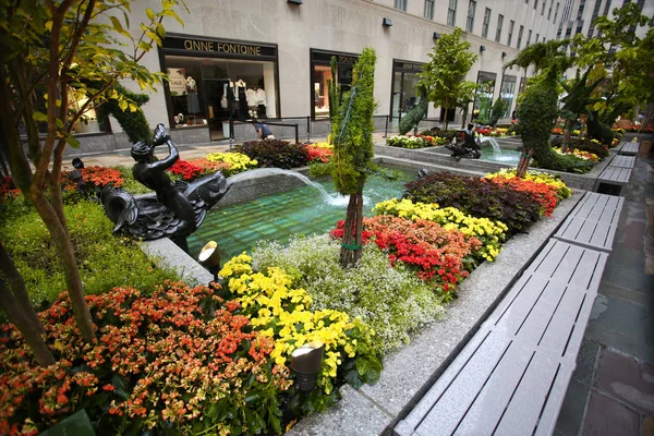 New York Usa August 2018 Rockefeller Plaza Wunderschöne Blühende Blume — Stockfoto