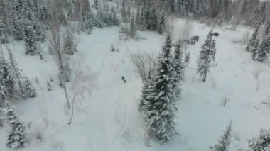 Yukarıdan aşağıya kış ormanda görünümünü. Kış manzara orman. Kış orman içinde kayak parça üzerinde uçan. Yukarıdan aşağıya Kayak yol görünümünü. Dronu takip snowboard kayakçı Kayak parça.