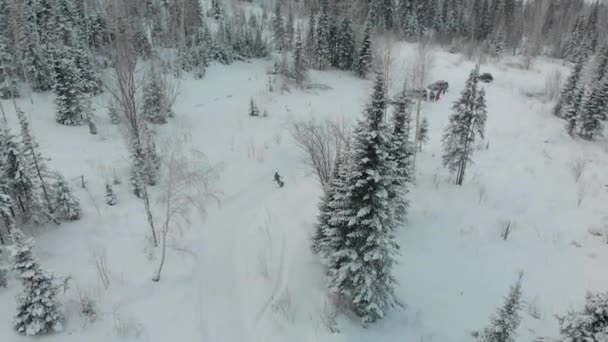 Зимой Сверху Вниз Вид Лес Зимний Пейзаж Лесу Летаю Лыжне — стоковое видео