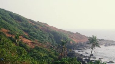 Geniş açılı sahil ve palmiye ağaçları, Goa, Vagator Sahili, Hindistan