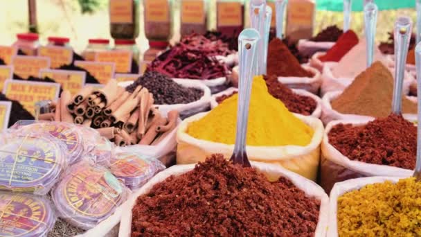 Loja Especiarias Tradicional Bazar Goa Índia — Vídeo de Stock