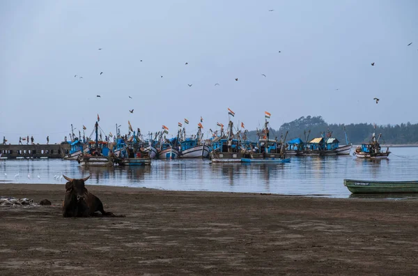 Vissersdorp Goa India — Stockfoto