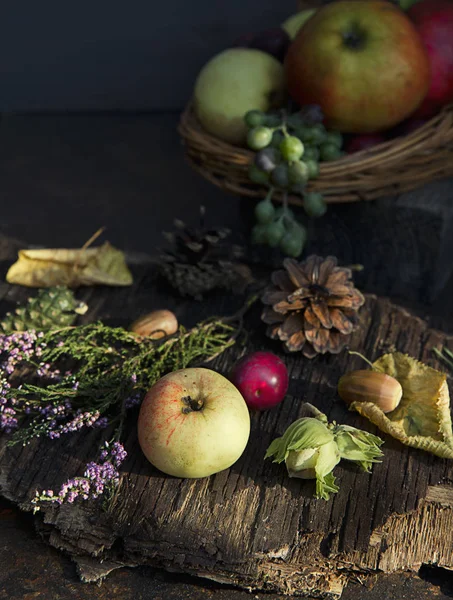 Frutas Frescas Otoño Los Rayos Del Sol —  Fotos de Stock