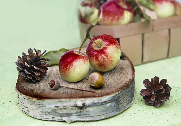 Composición Con Manzanas Frescas Jardín —  Fotos de Stock