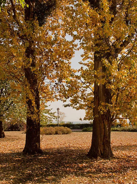 Hösten Gdynia Orlowo — Stockfoto