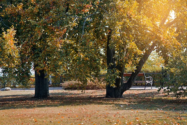 Höst Parken — Stockfoto