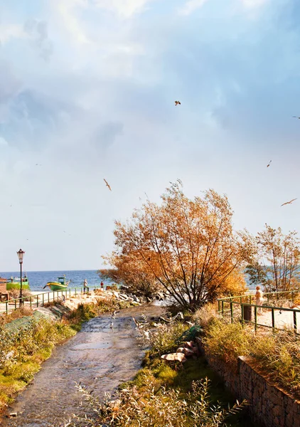 Осень Гдыне Орлово — стоковое фото