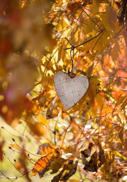 Fond Automne Avec Coeur Suspendu — Photo