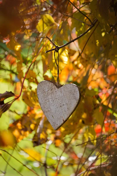 Herbst Hintergrund Mit Einem Hängenden Herzen — Stockfoto