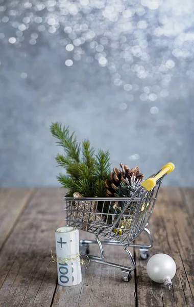 Gastos Financieros Para Navidad — Foto de Stock