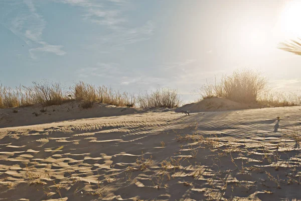 Paysage Pittoresque Avec Les Dunes Sable Portugal — Photo