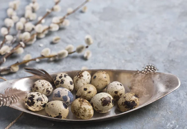 Quaglia Uova di Pasqua su sfondo grigio con ramo di salice — Foto Stock