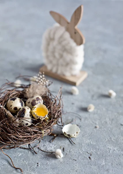 Huevos de Pascua de codorniz sobre fondo gris con rama de sauce — Foto de Stock