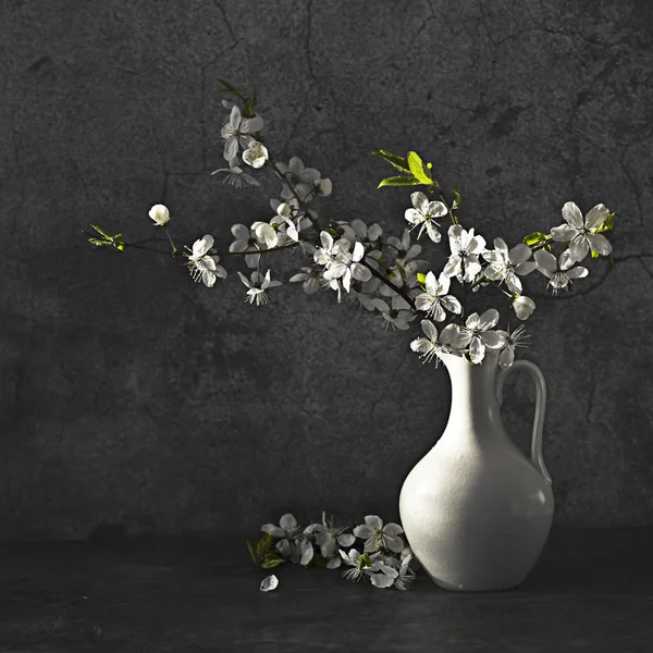 Pommier en fleur dans un vase sur fond sombre — Photo