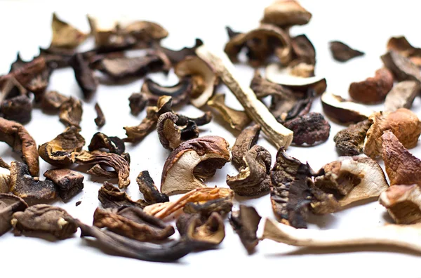 Dried mushrooms on white background — Stock Photo, Image