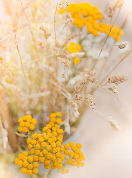 Fondo de flores silvestres y hierba —  Fotos de Stock