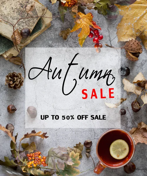 Sale concept .Frame of chestnut and autumnal  leaves — Stock Photo, Image