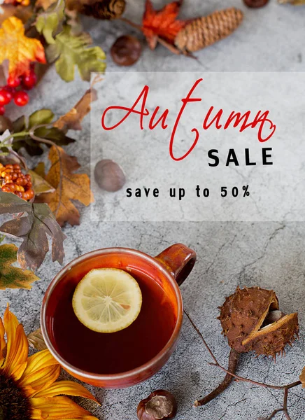 Sale concept .Frame of chestnut and autumnal  leaves — Stock Photo, Image