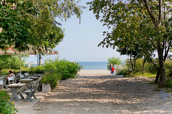 Östersjökusten Östersjön Och Sandstranden Sommardag — Stockfoto