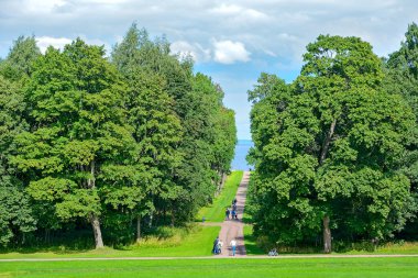 Peterhof, Alexandria Peyzaj Park Finlandiya Körfezi kıyısında