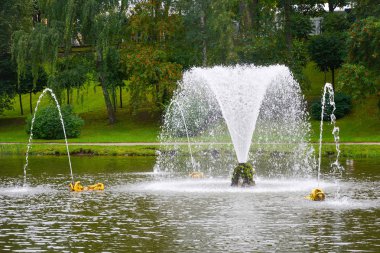 Peterhof, Rusya Federasyonu-Ağustos 27, 2017: balina Çeşme ve kum su birikintisi içinde aşağı Parkı, Peterhof, Rusya Federasyonu