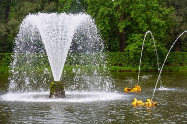 Peterhof, Rusya Federasyonu-Ağustos 27, 2017: balina Çeşme ve kum su birikintisi içinde aşağı Parkı, Peterhof, Rusya Federasyonu