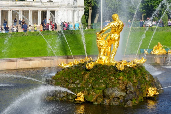 Peterhof Rusia Agosto 2017 Fuente Sansón Rasgando Boca Del León —  Fotos de Stock