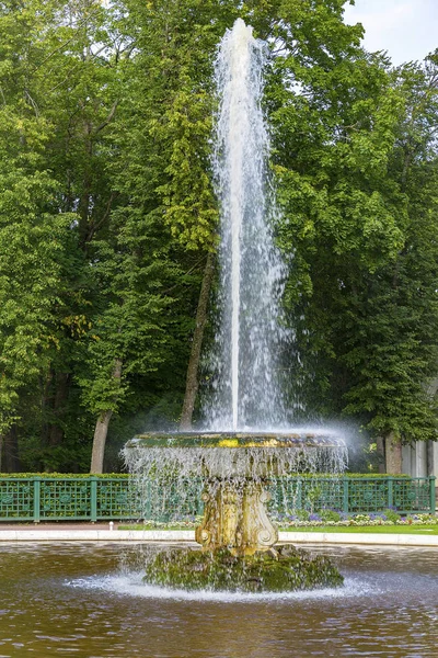 Peterhof Russie Août 2017 Une Grande Fontaine Italienne Bol Occidental — Photo