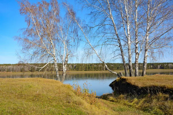风景如画的西伯利亚河的秋天景色汤姆 克麦罗沃地区 — 图库照片