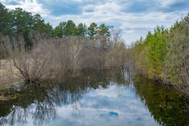 Kemerovo bölgesi Khrystynovka köyü yakınındaki şişmiş bahar akışı