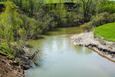 Küçük Nehri Kuzey Unga erken yaz, Kemerovo bölgesi