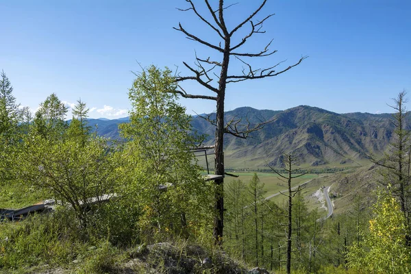 Observation deck at the top of the Chike-Taman pass on Chuisky tract, Altai Republic